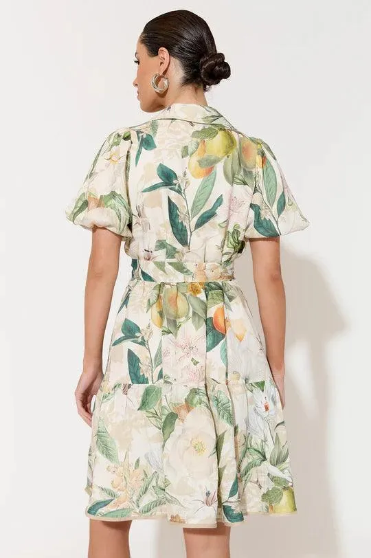 AJD1625 LEONA ADELAIDE PRINT DRESS
