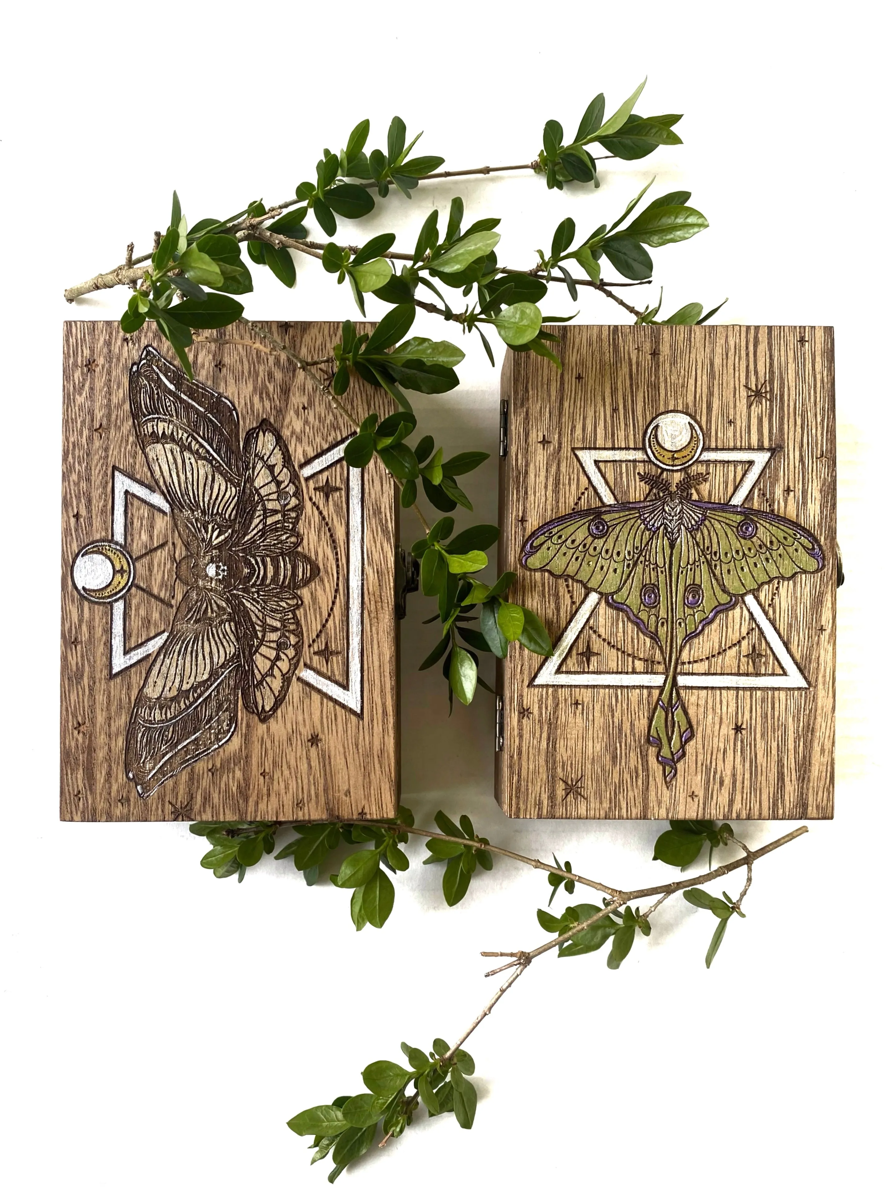 Death Head Hawk Moth Tarot Box