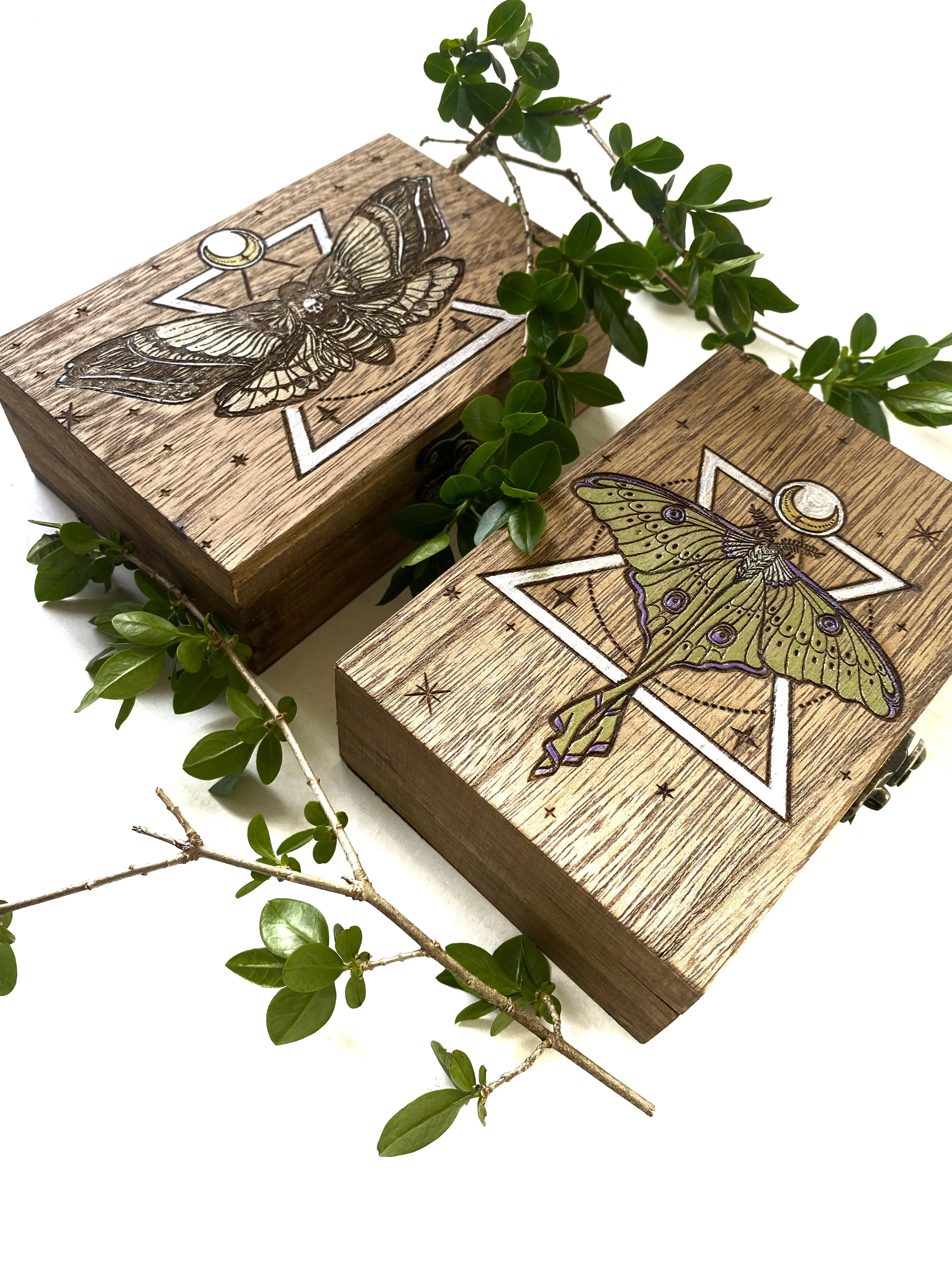 Death Head Hawk Moth Tarot Box