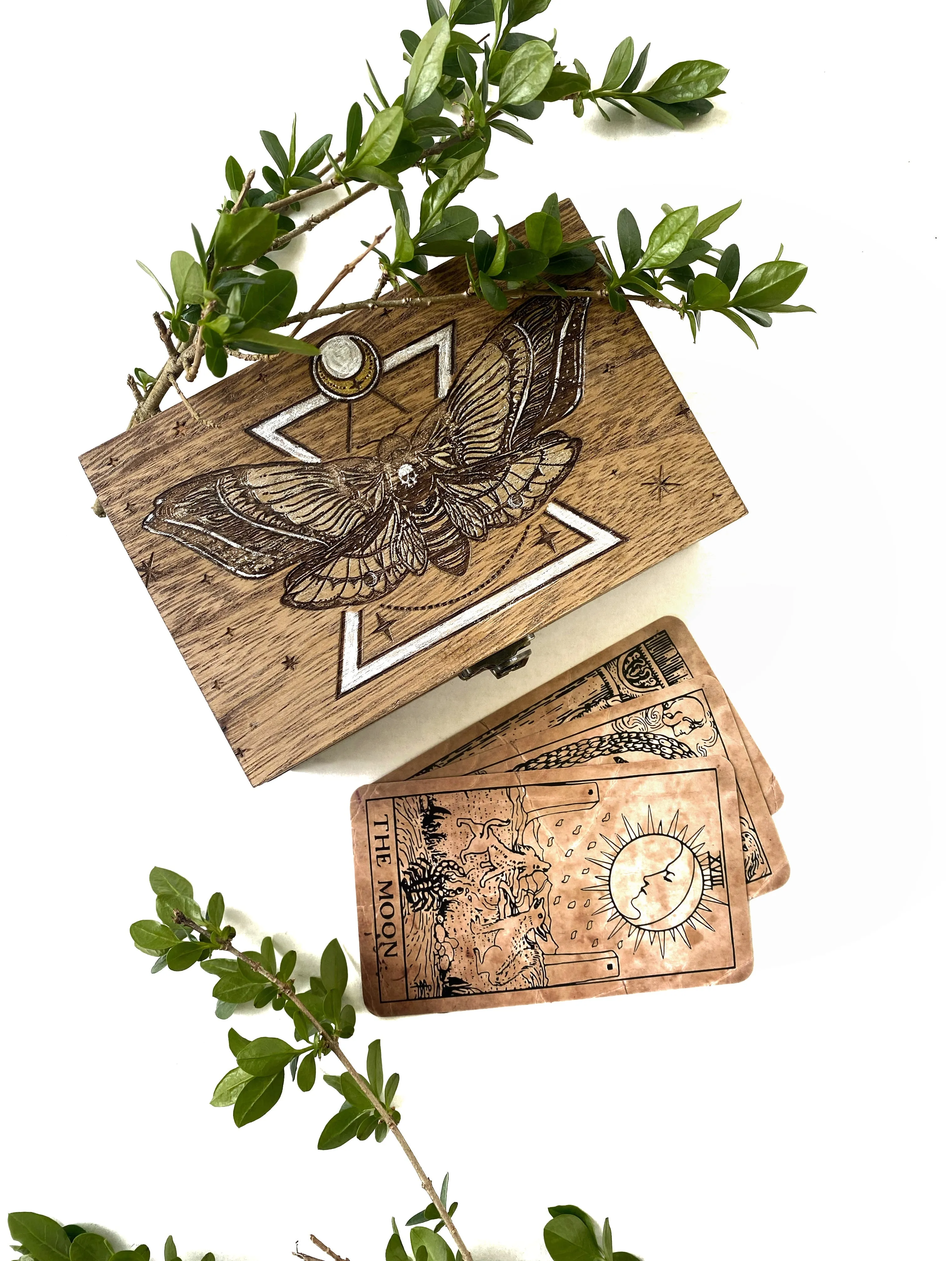 Death Head Hawk Moth Tarot Box