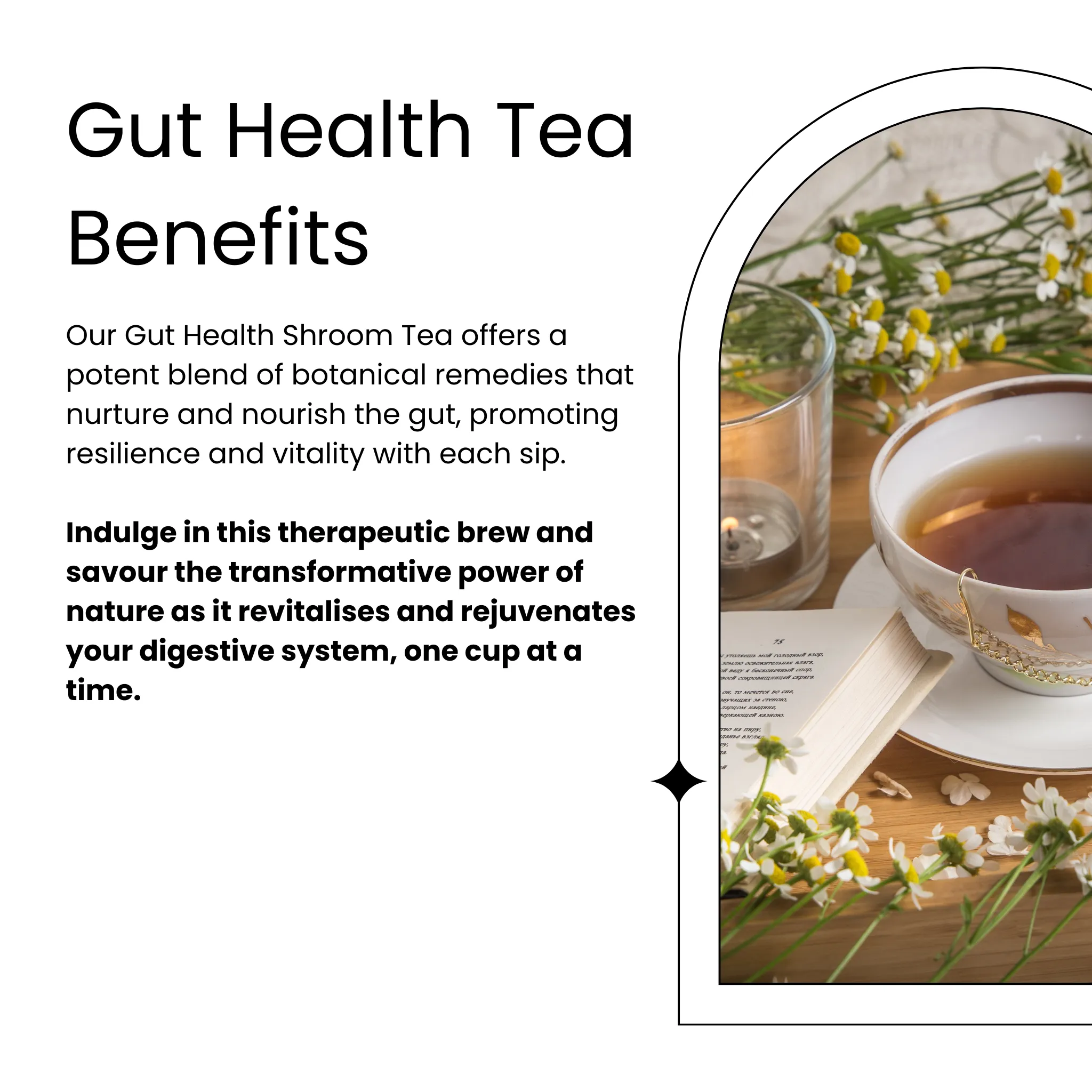 Functional Tea | Gut