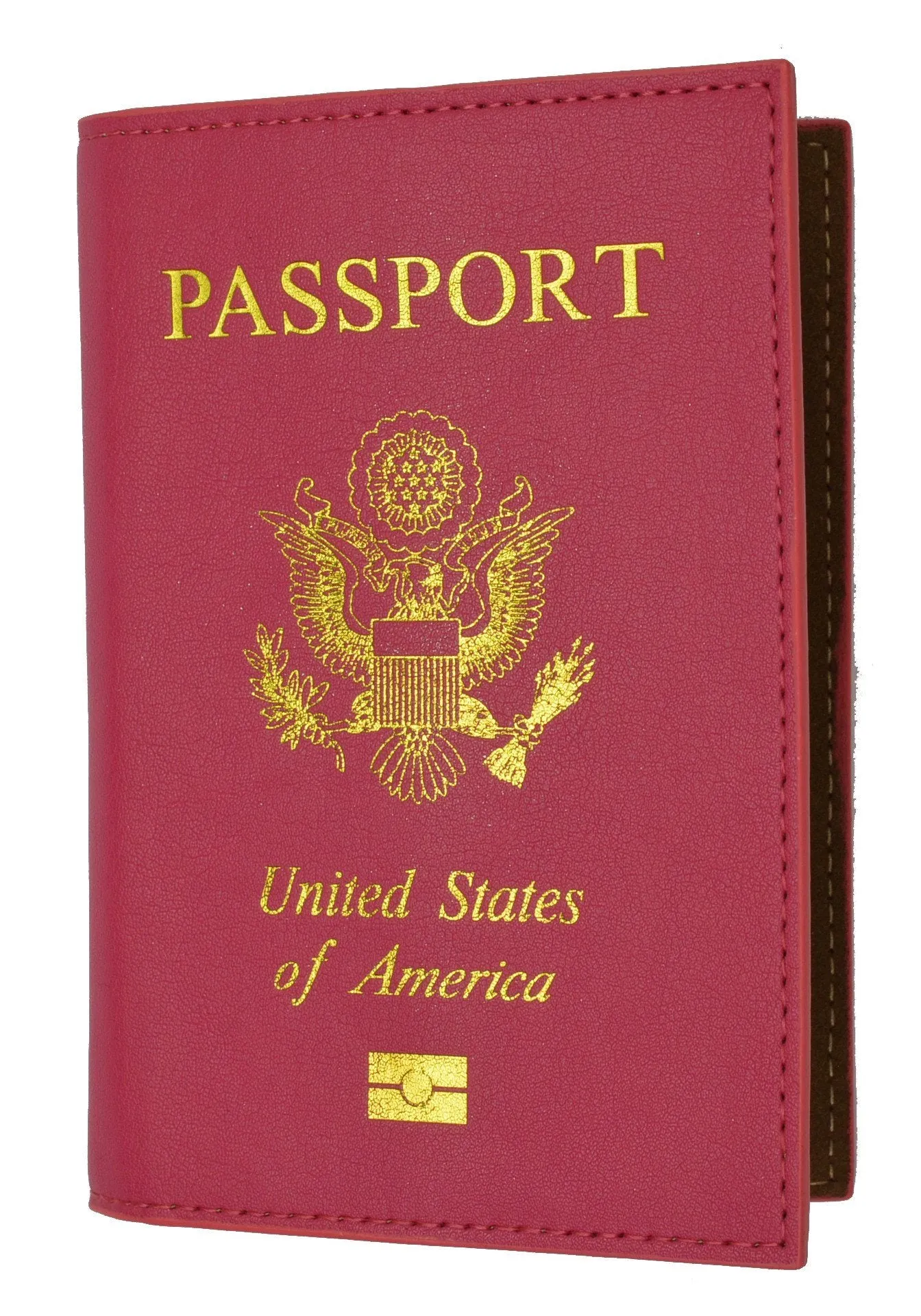 Leather USA Logo Passport Holder - Baby Blue