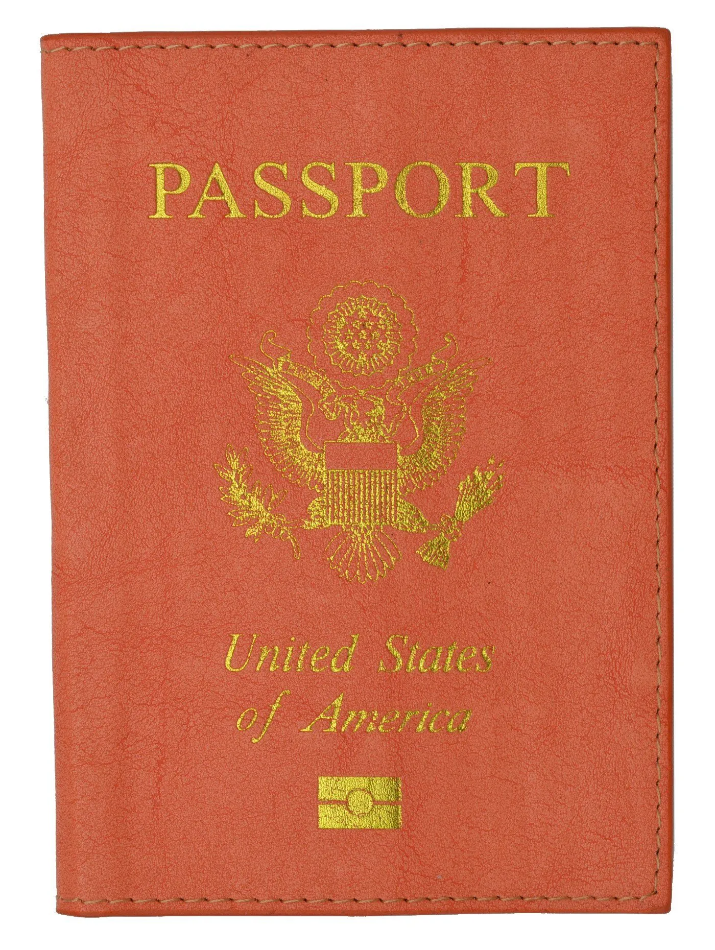 Leather USA Logo Passport Holder - Baby Blue