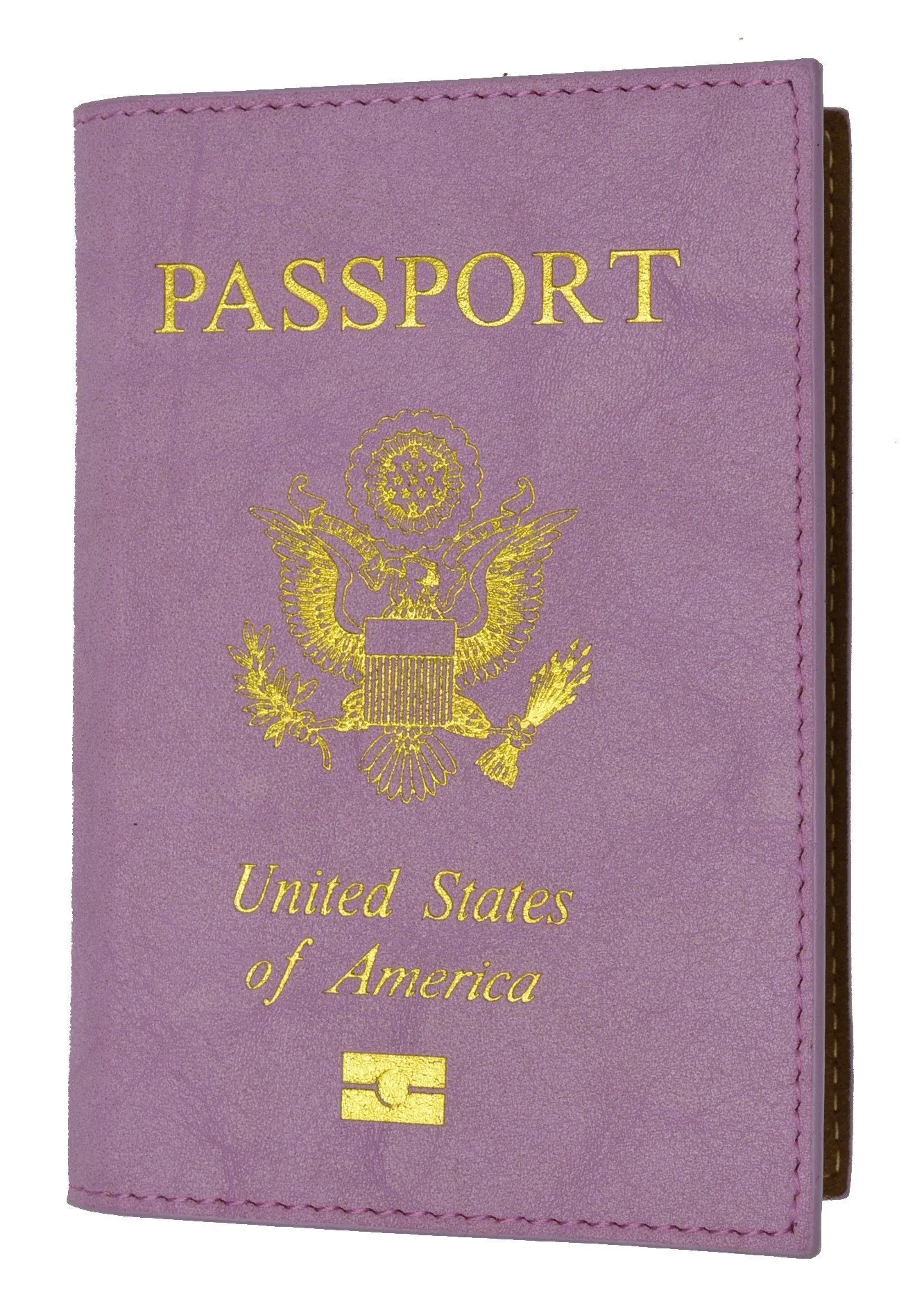 Leather USA Logo Passport Holder - Baby Blue