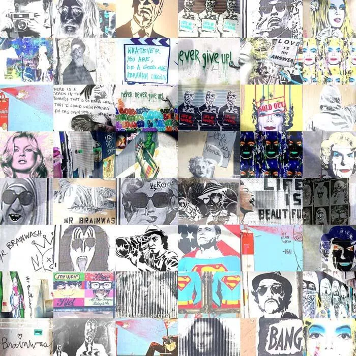 Mr Brainwash
