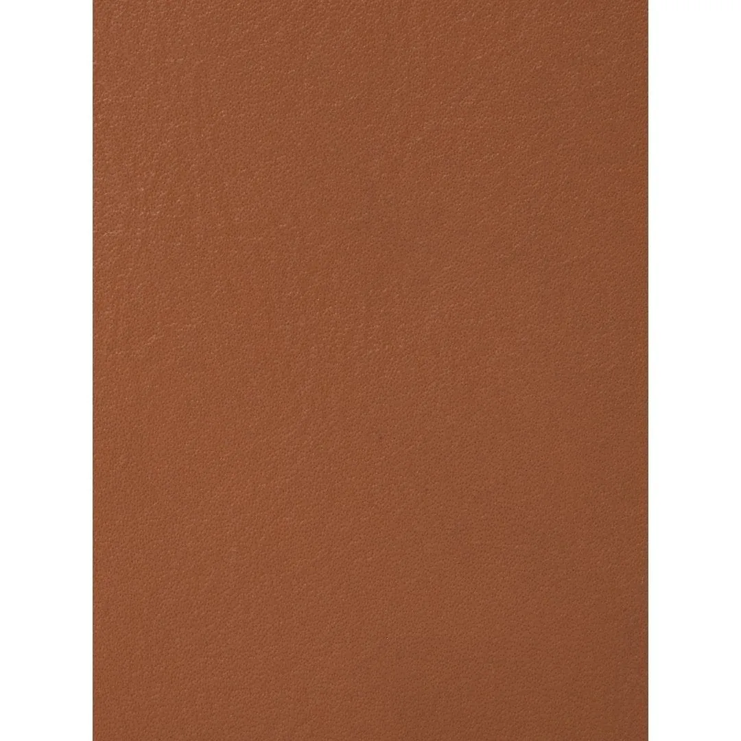 Phive Rivers Men's Leather Wallet - Prmw1419