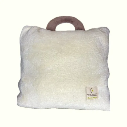 Plush Bear case with attached blanket inside