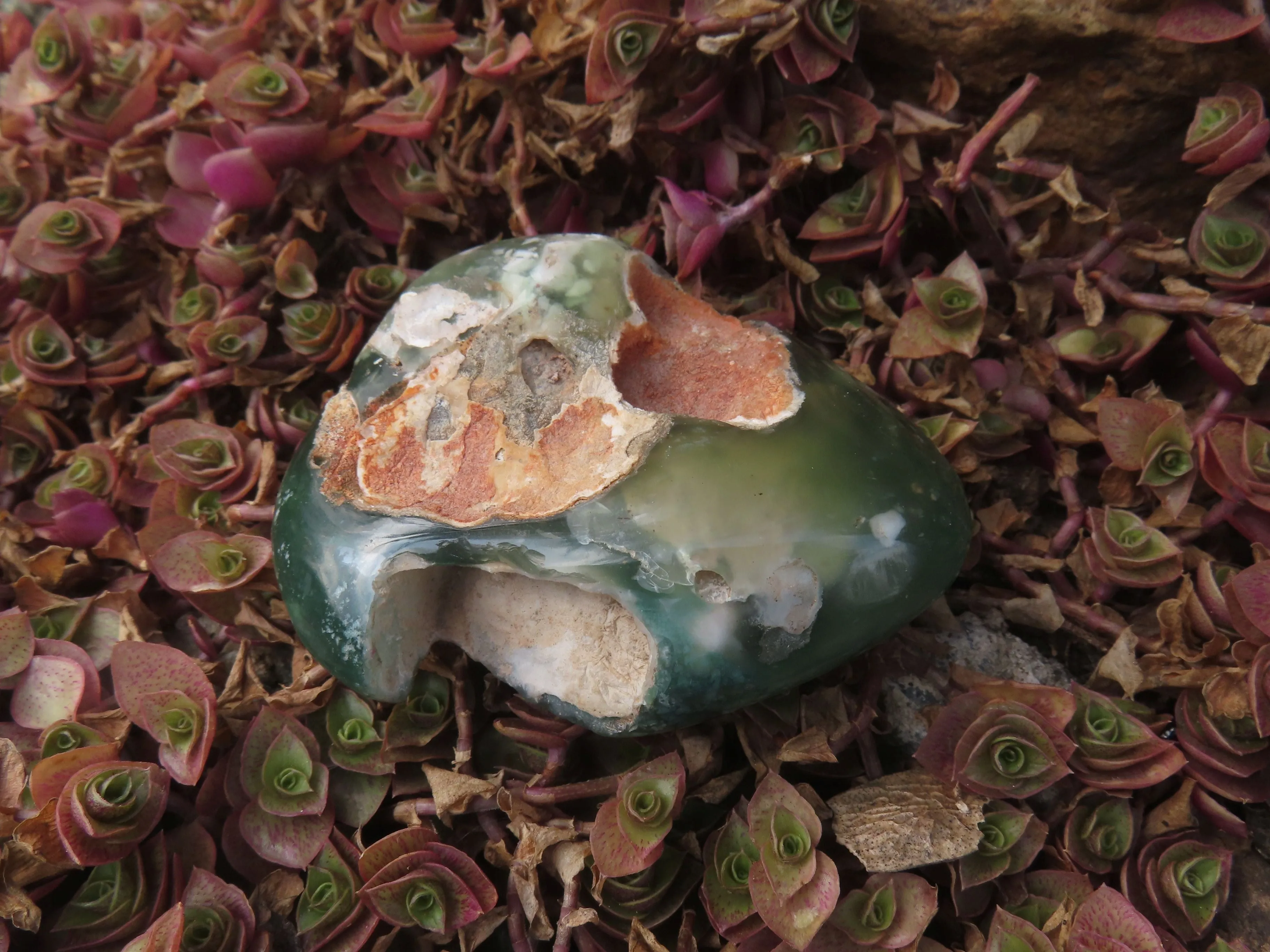 Polished Emerald Mtorolite Galet-Palm Stones - sold per kg - From Mutorashanga, Zimbabwe