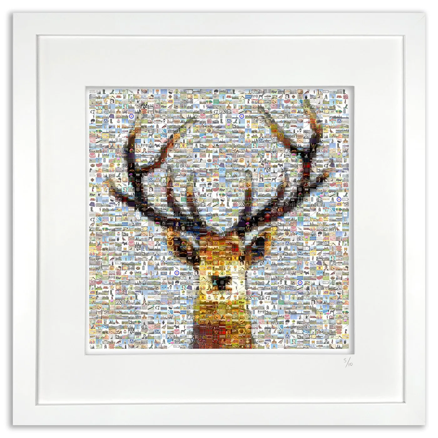 Scottish Stag