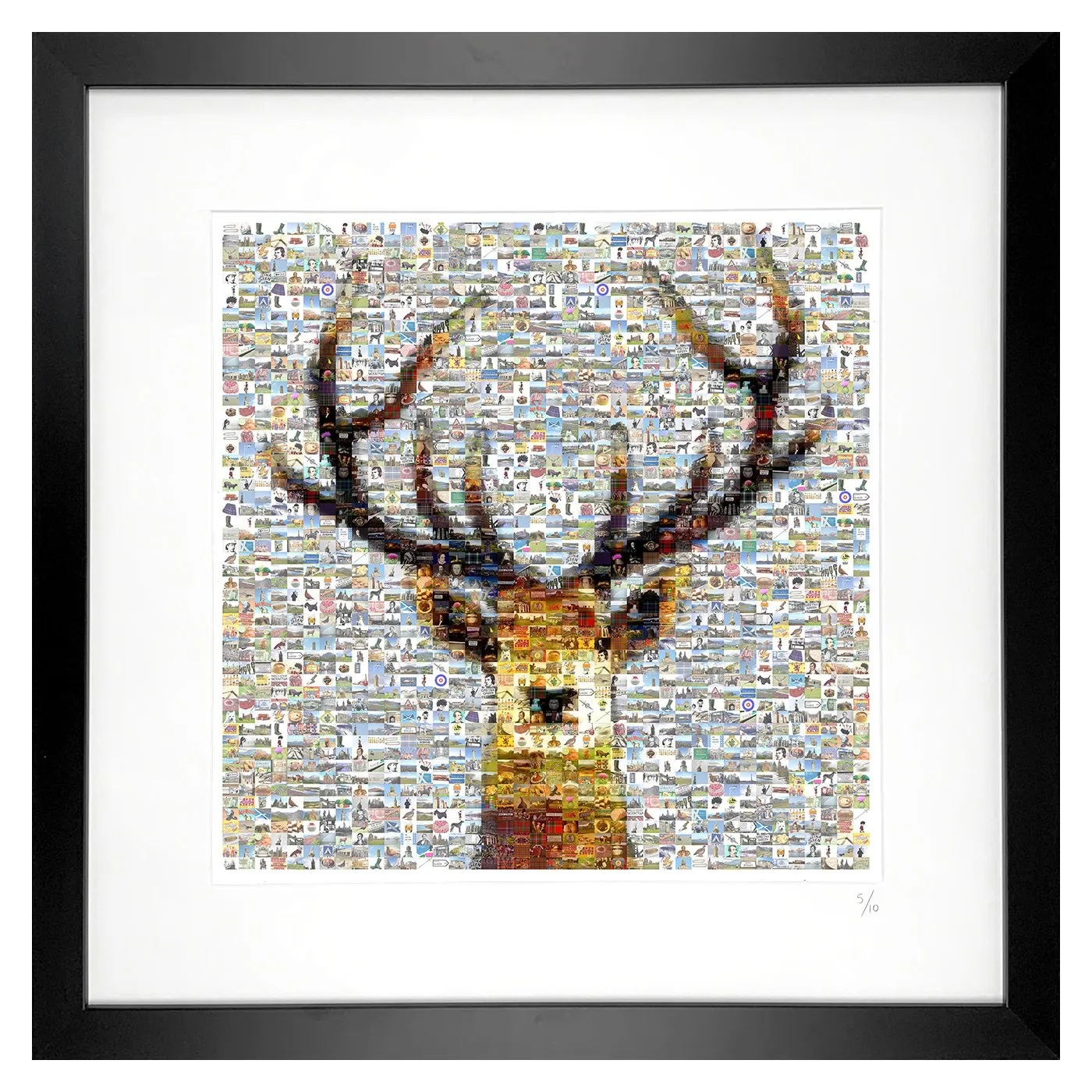 Scottish Stag