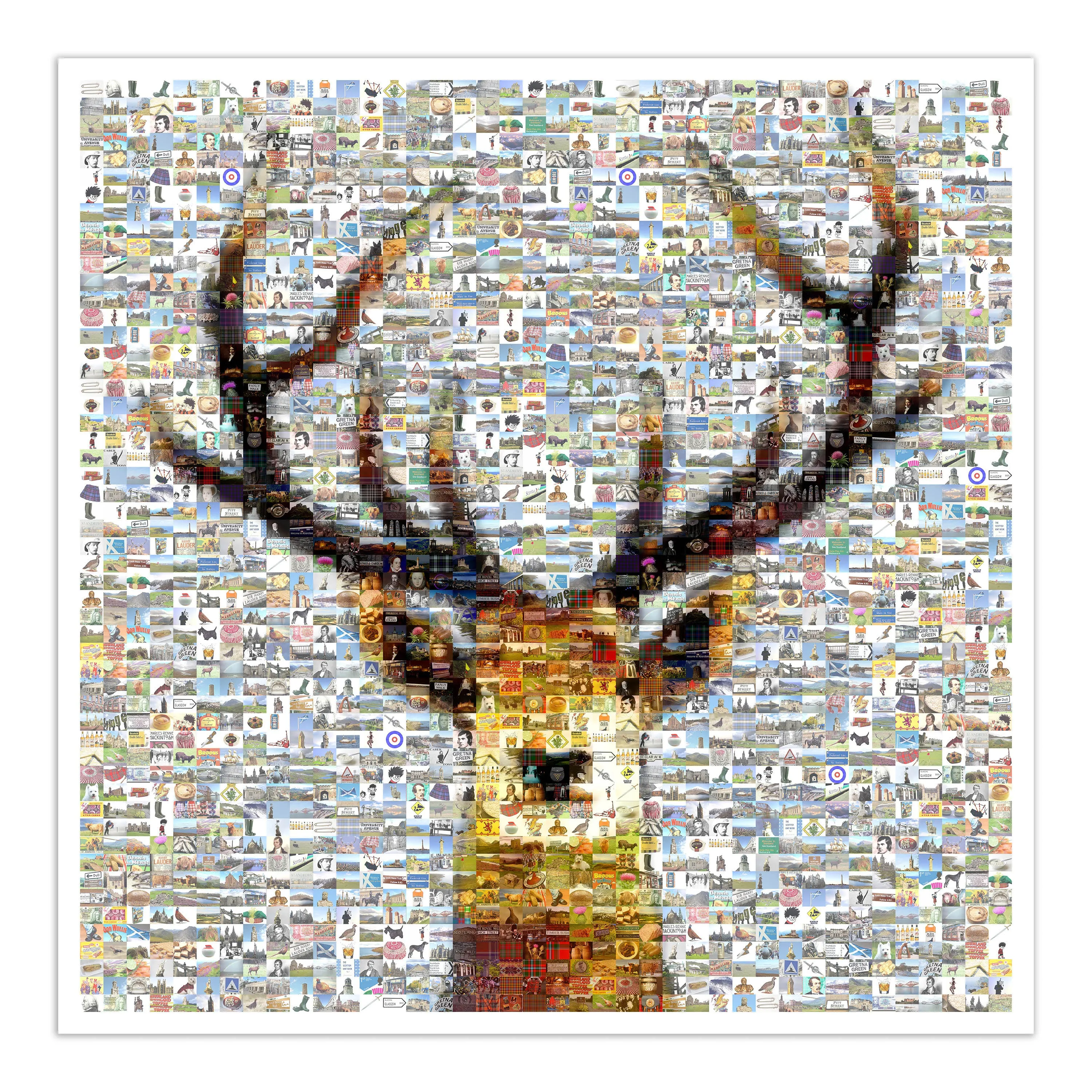 Scottish Stag