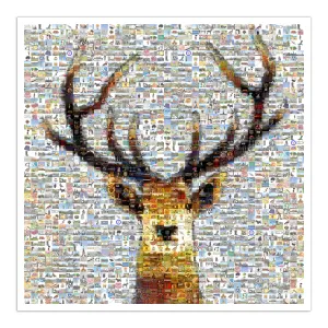 Scottish Stag