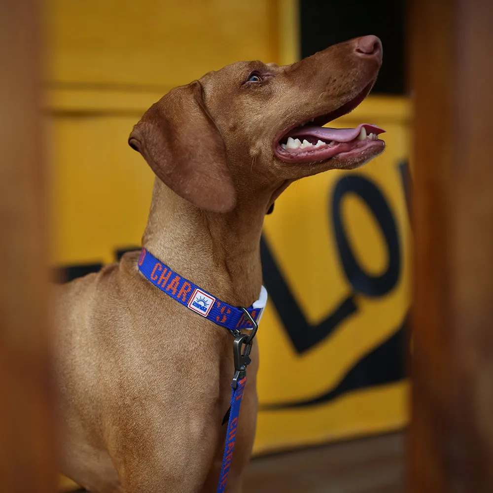 Trip Leash Blue