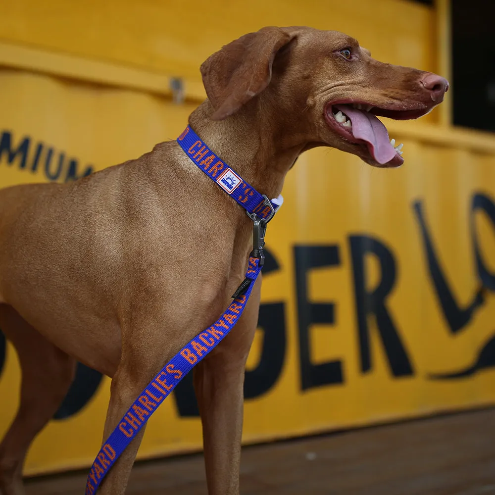 Trip Leash Blue