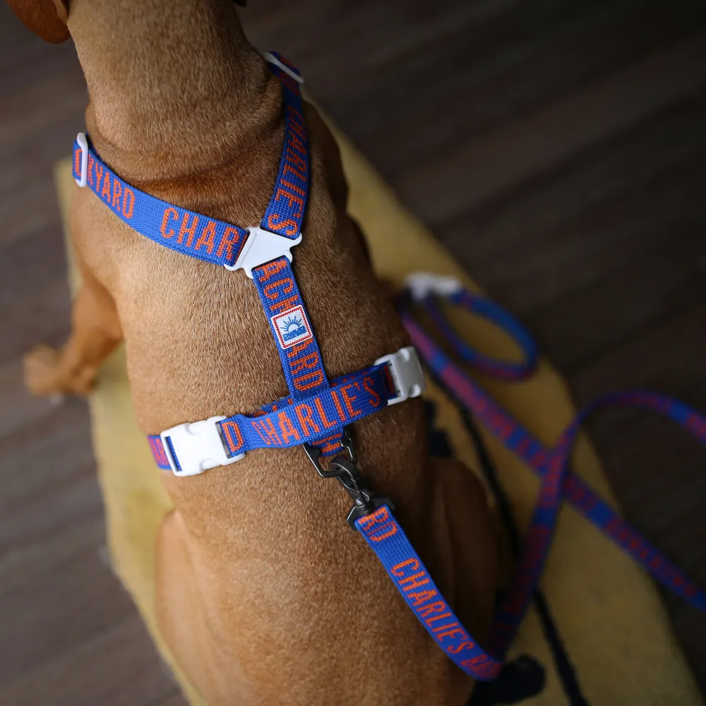 Trip Leash Blue