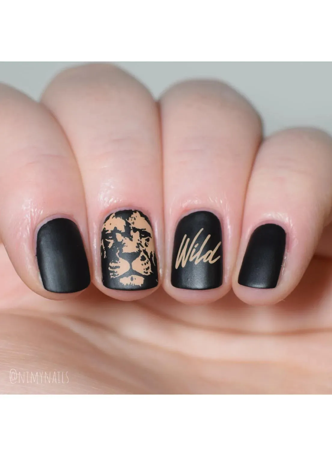 Wild & Fierce: Big Cats -  Uber Chic Stamping Plate