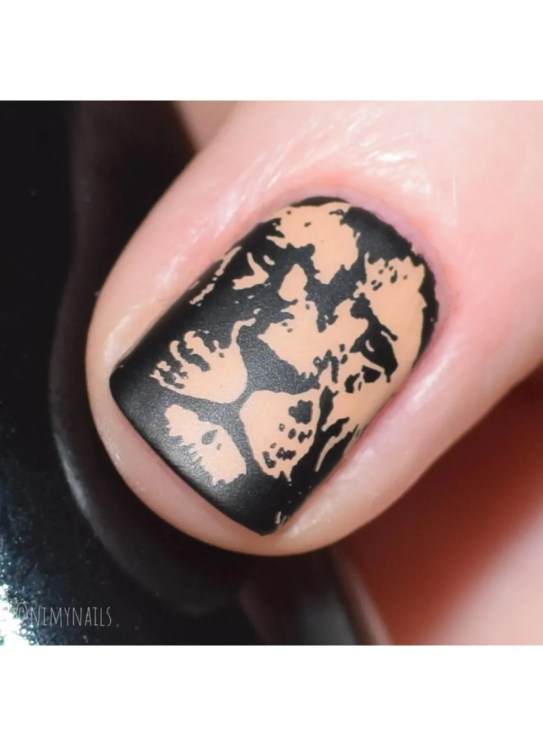 Wild & Fierce: Big Cats -  Uber Chic Stamping Plate