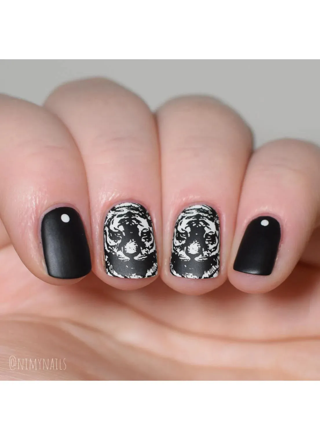 Wild & Fierce: Big Cats -  Uber Chic Stamping Plate